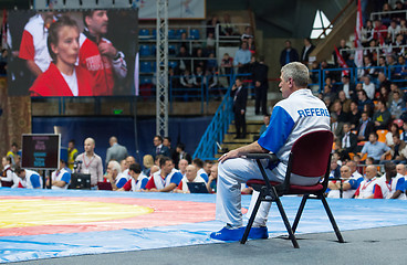 Image showing Referee on a chair