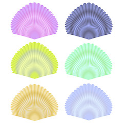 Image showing Seashell Collection
