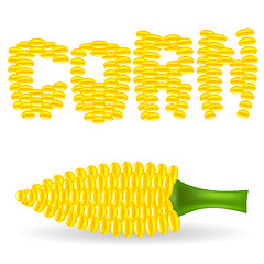 Image showing Yellow Cob Corn