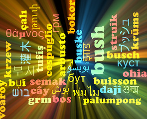 Image showing Bush multilanguage wordcloud background concept glowing