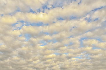 Image showing Sunrise Cirrocumulus