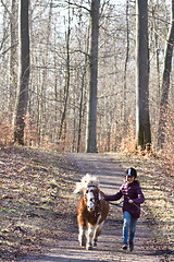 Image showing girl with a horse in denmark