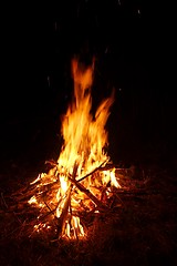 Image showing Camp Fire