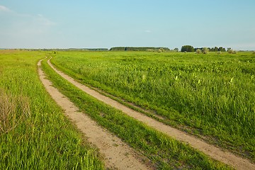 Image showing Field with path