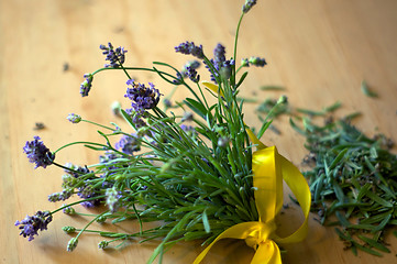 Image showing bouquet of freshly cut lavender