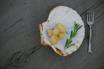 Image showing Delicious sea scallop 