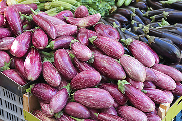 Image showing Aubergine