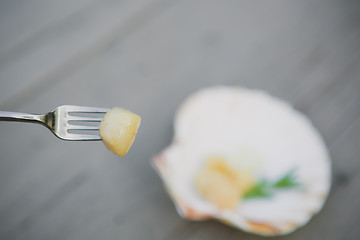 Image showing Delicious sea scallop 
