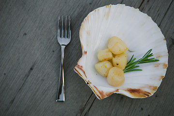 Image showing Delicious sea scallop 