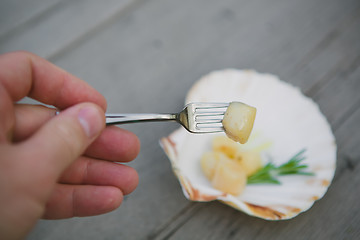 Image showing Delicious sea scallop 