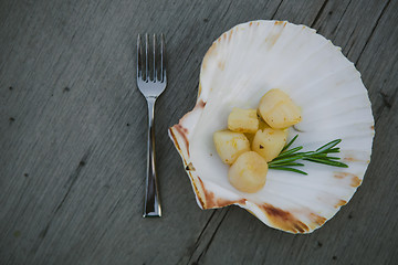 Image showing Delicious sea scallop 