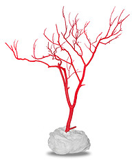 Image showing Dead red tree