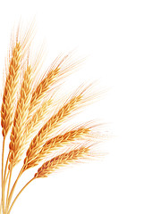Image showing Spikelets and grains of wheat. EPS 10