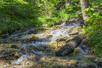 Image showing Torrent Bavaria Alps