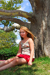 Image showing Young girl tree