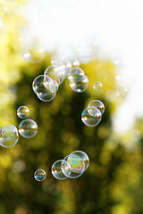 Image showing Soap bubbles