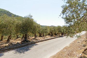 Image showing Grece, Thassos