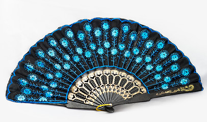 Image showing Special fan