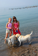 Image showing Two girls playing with dogs
