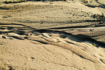 Image showing Sandy beach