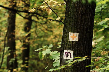 Image showing Hike sign