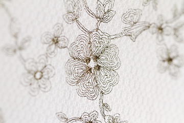 Image showing Special lace