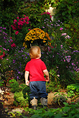 Image showing Toddler garden