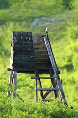 Image showing hunting wooden hide