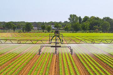 Image showing Irrigation system