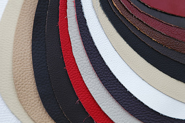 Image showing Leather swatch