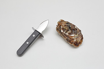 Image showing Oyster and Knife