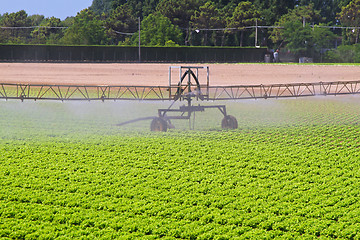Image showing Water irrigation sprinkler