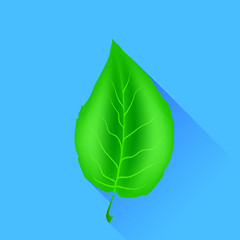 Image showing Green Leaf