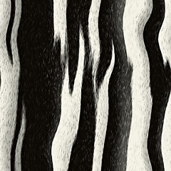 Image showing Zebra Striped Pattern