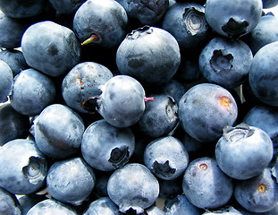 Image showing Blueberries macro