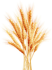 Image showing Stalks of wheat ears. EPS 10