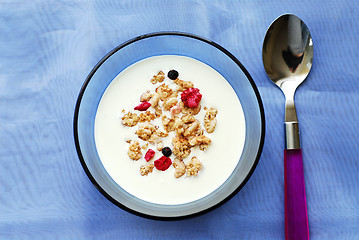 Image showing Breakfast cereal