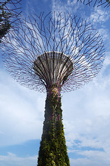 Image showing Gardens by the Bay, Singapore