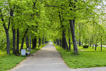 Image showing Beautiful old park in the city