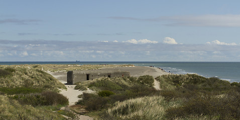 Image showing Coastline