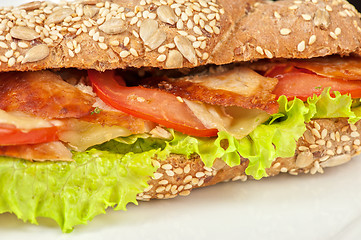 Image showing Big sandwich 