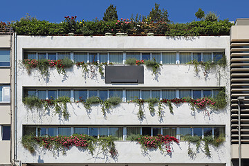 Image showing Vertical Garden Building