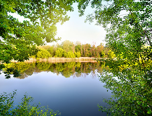 Image showing Green trees by the river