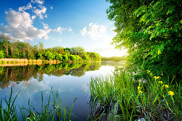 Image showing Trees by calm river