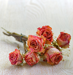 Image showing Dry roses