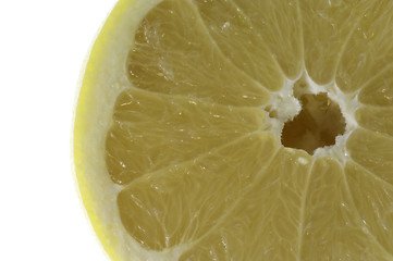 Image showing grapefruit