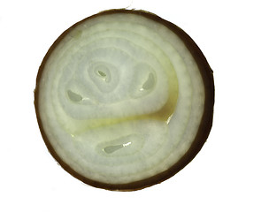 Image showing onion slice