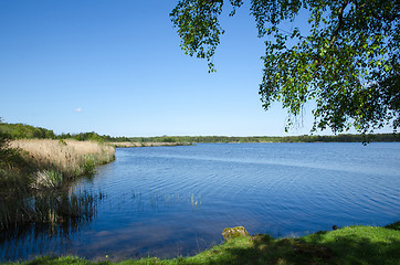 Image showing Lake summer view