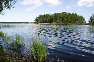 Image showing Water reflections