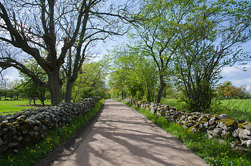 Image showing Gravel road with mossy stone walls